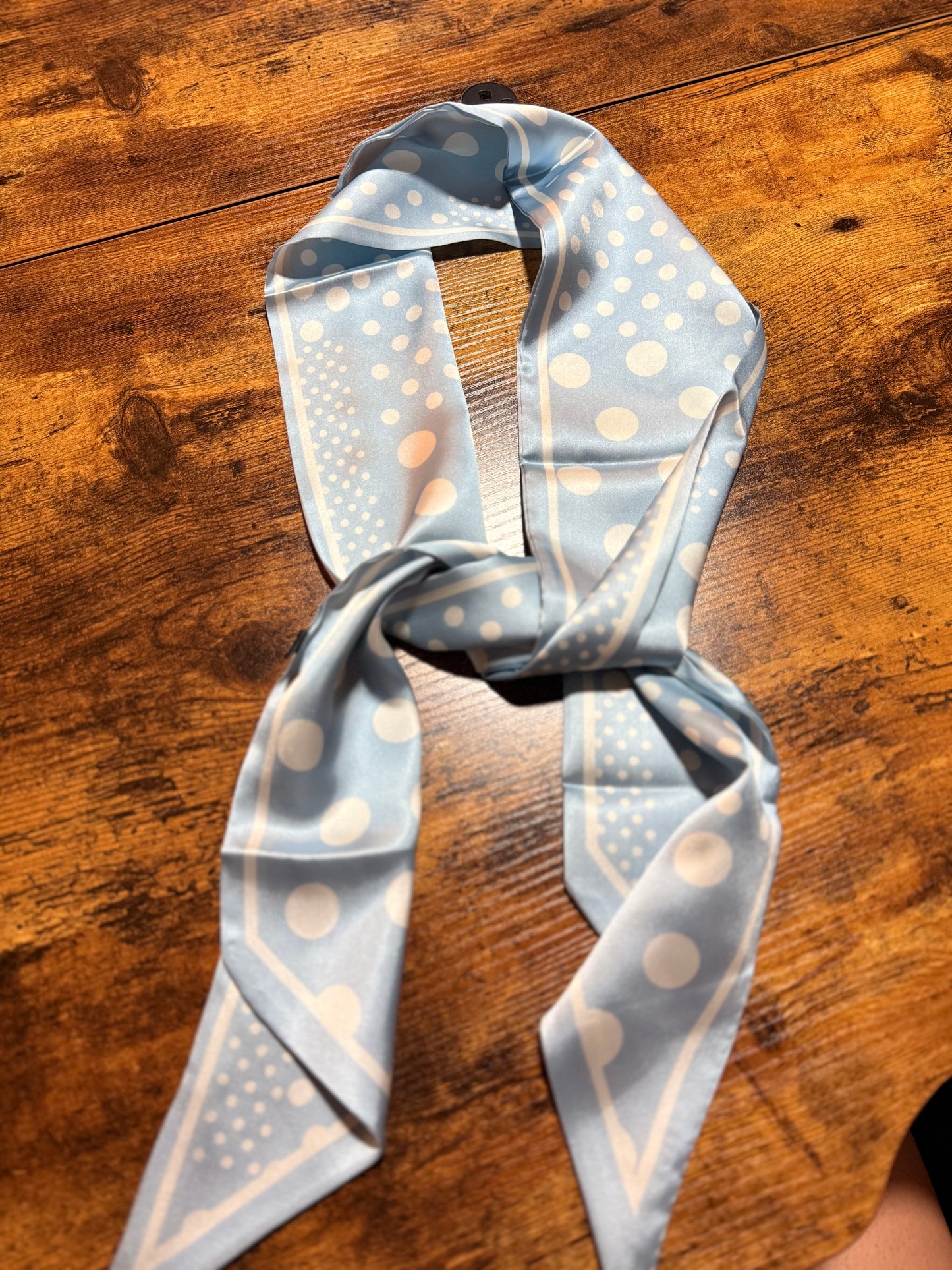 Baby Blue Polka Dot Twilly