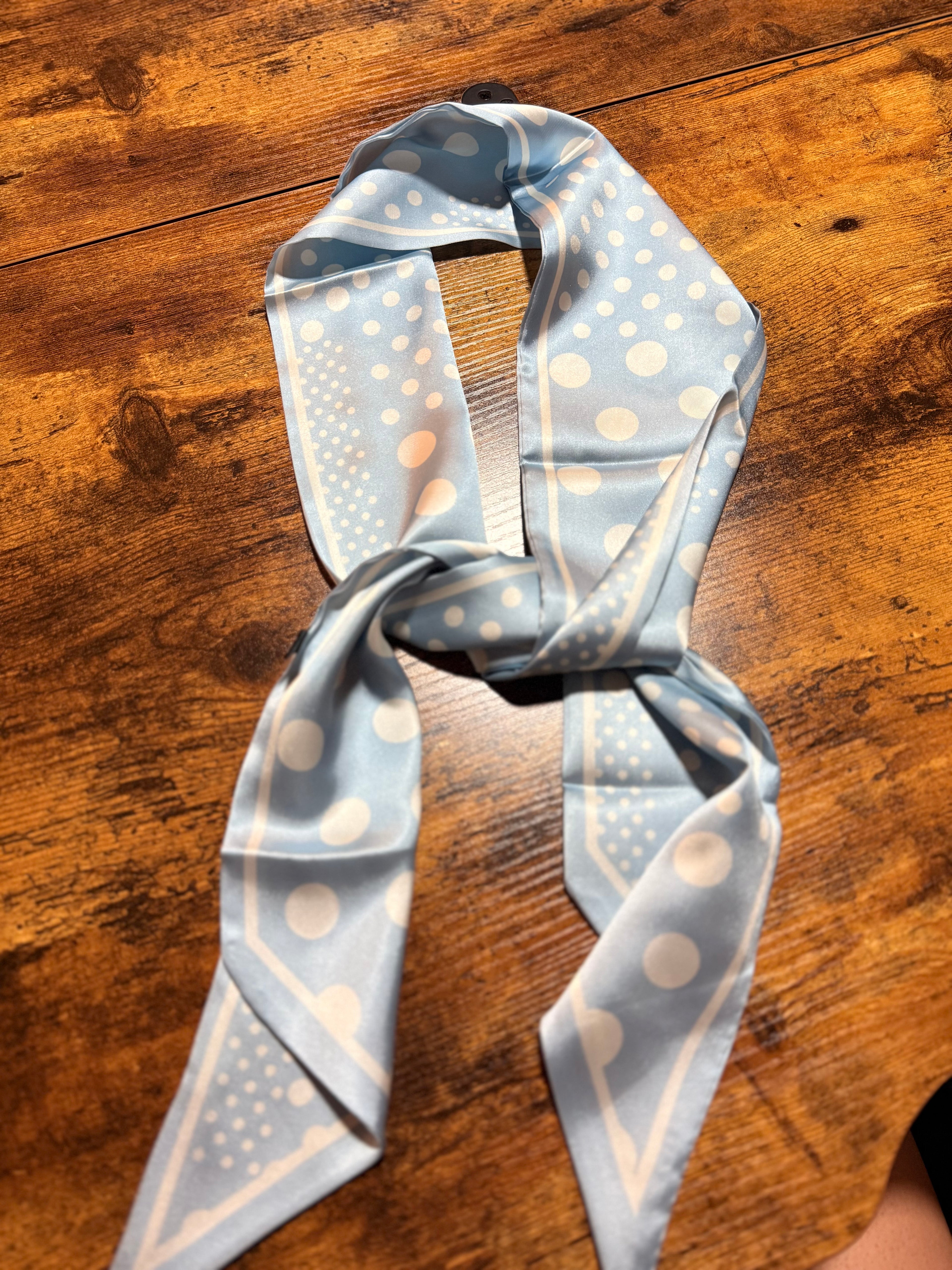 Baby Blue Polka Dot Twilly